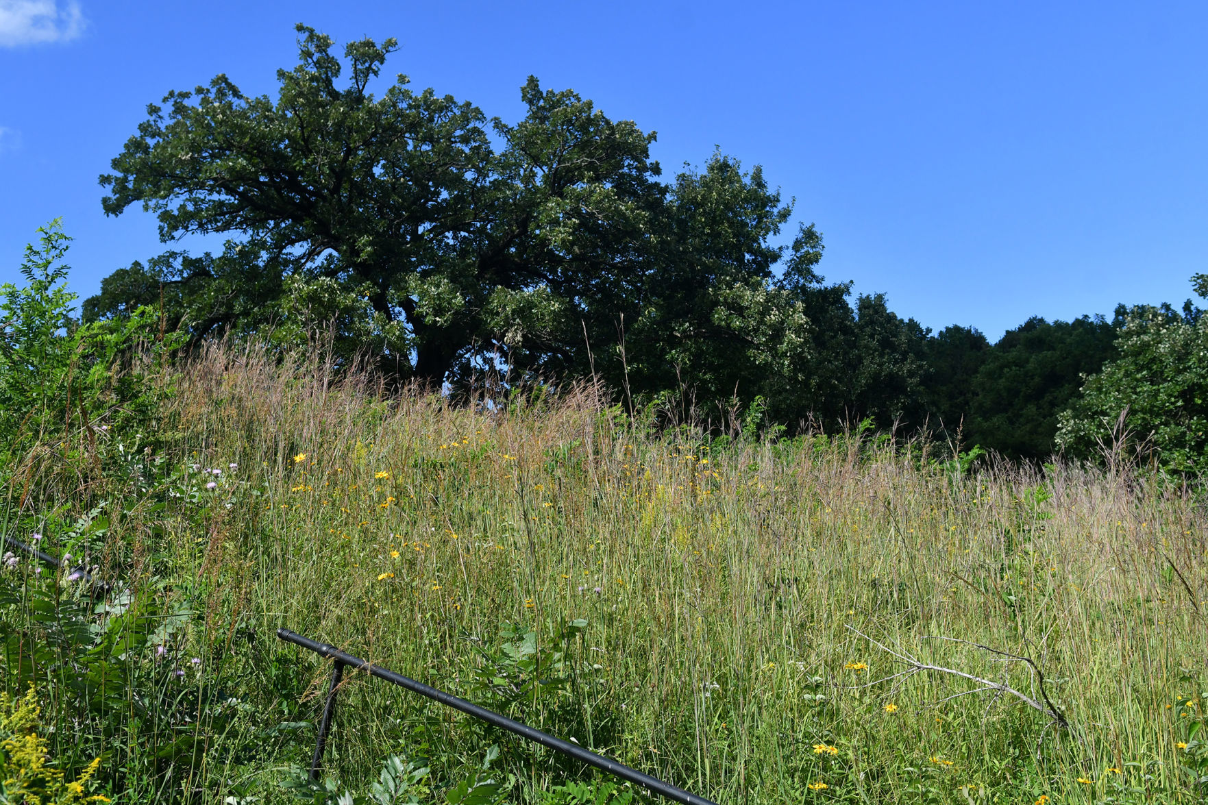 Davenport Fairmount Cemetery prairie